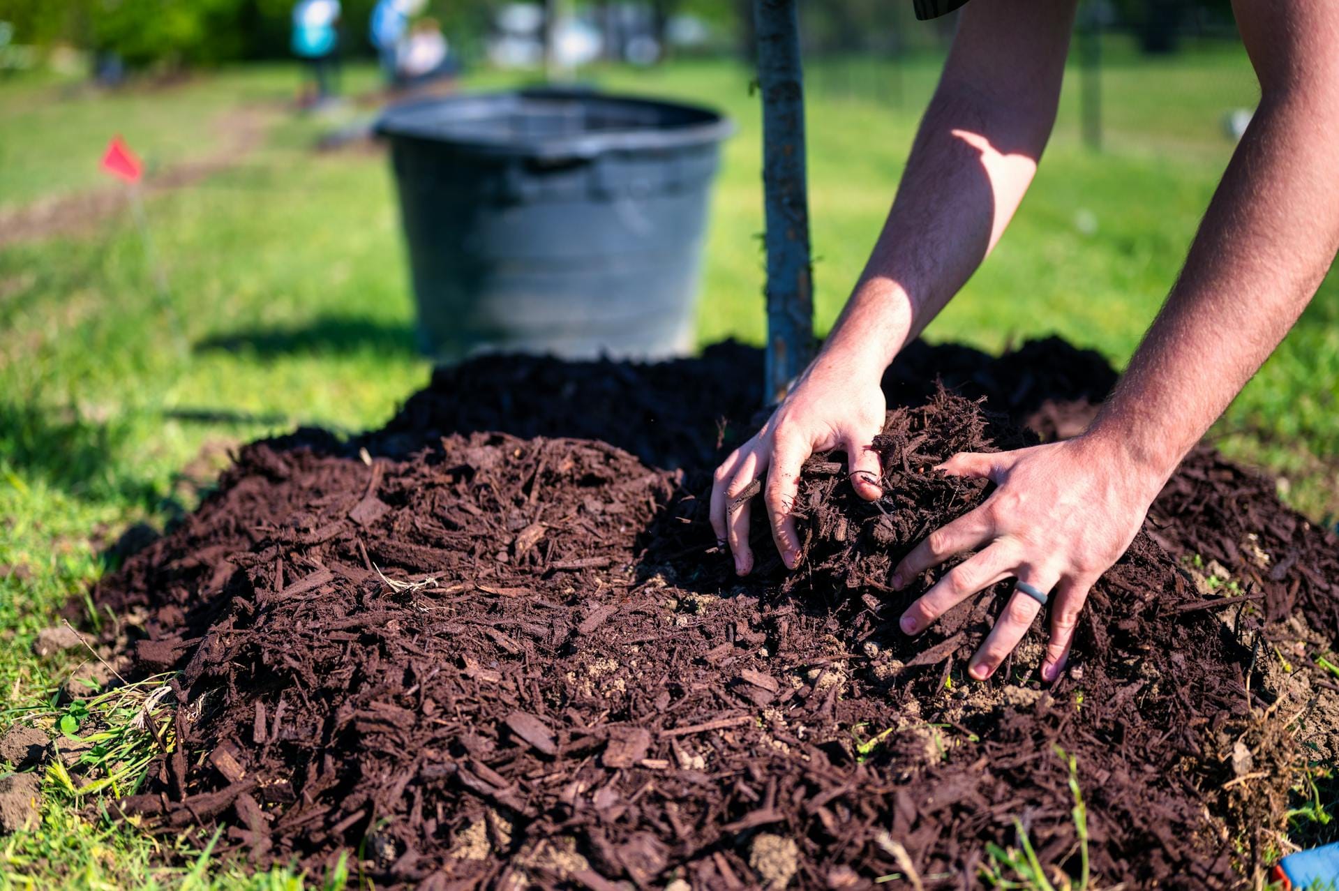 Abbildung einer Gartenbewässerung